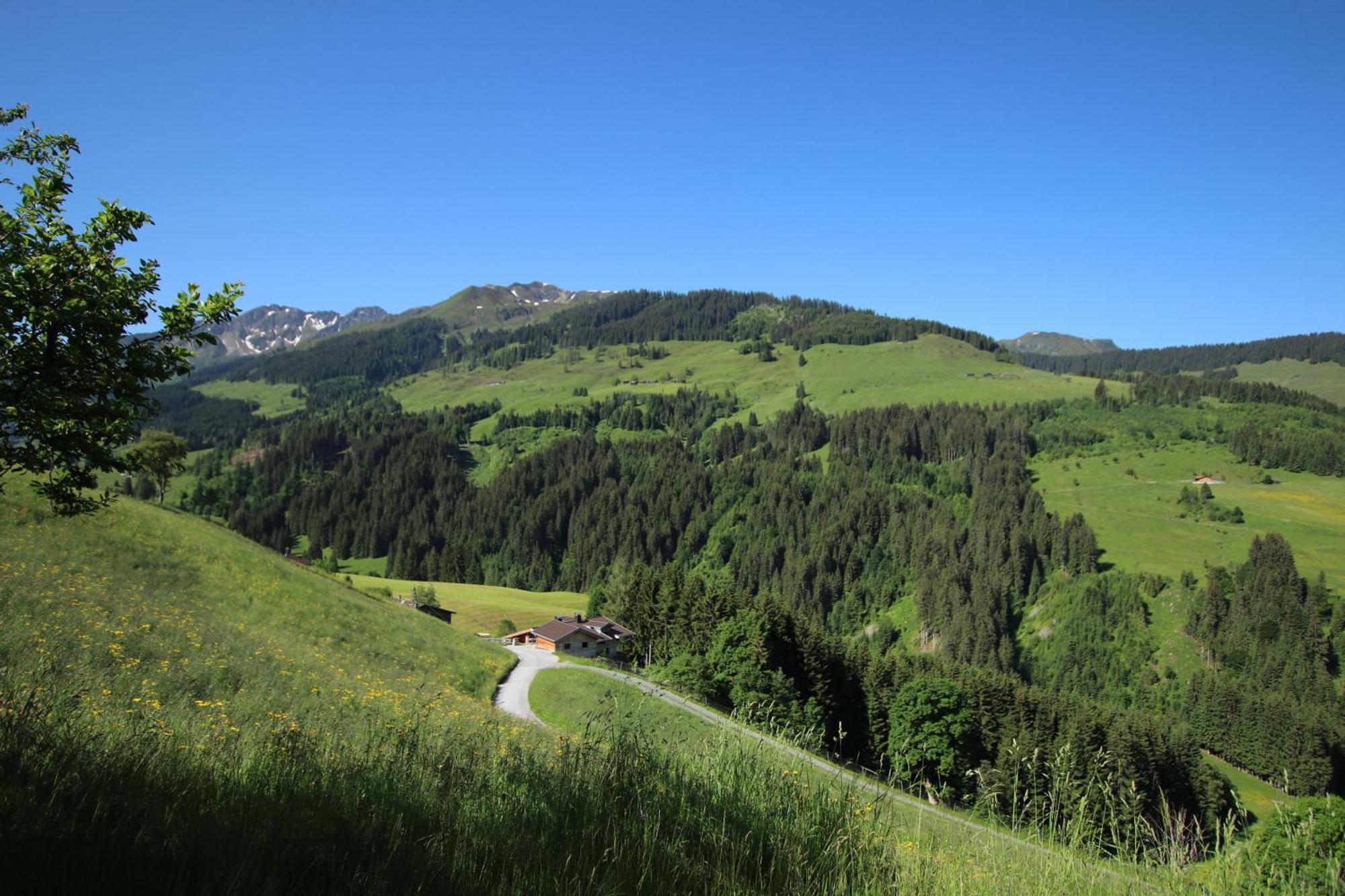 Ferienwohnung Bergpanorama Wild600 Schwarzenau  Luaran gambar